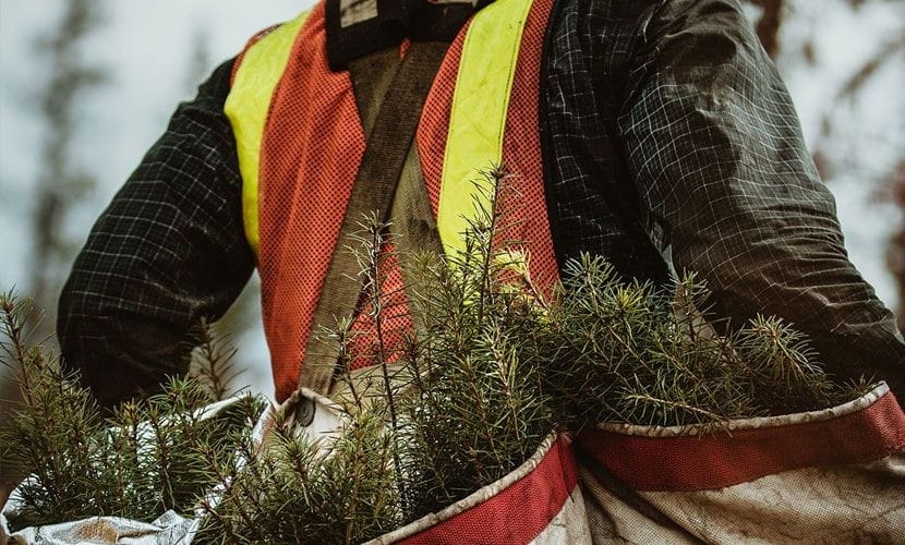 SDG 8: Menschenwürdige Arbeit und Wirtschaftswachstum – Fazenda Maísa
